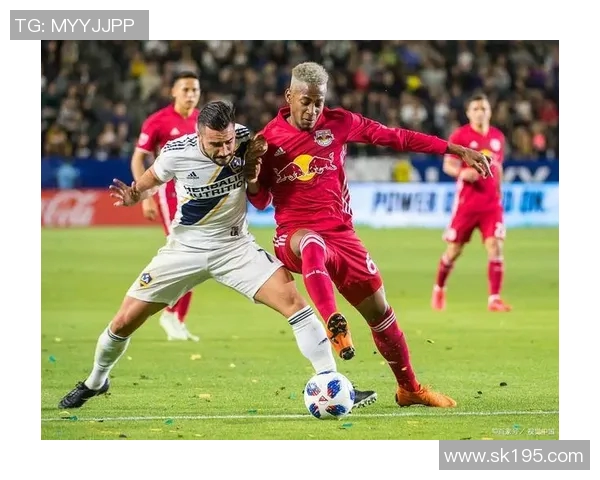 纽约城与波兰特伐木的对决谁能在城市与自然之间找到平衡